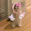 holowela
