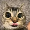 nanda.concas