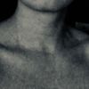 ostioneria_michoacan23
