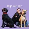 dogswdev