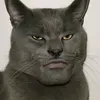 xiaoforrozeira