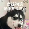 love131452018