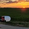 _cxrxlxnx__