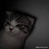 no_usernamety