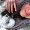 nikole.ff