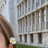 melisagn52