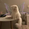 notftom