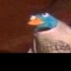david_tbh