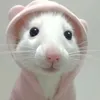 mariaa.delgadoo