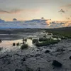 emmaruna