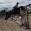 equineeb