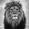 thomas_120901