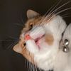 mattyspatty