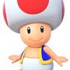 toad.lover.54