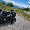 lusco_99