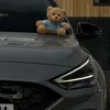 sonny_i30n