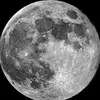 lunatica_88_