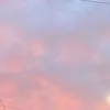 martinaars_