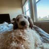 kendra_pellicer