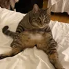 kimzebb