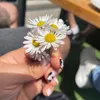iva.ivaaa