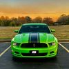 gottahaveitgreenboss