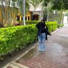 tam_martine1
