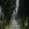 goawayfaraway2