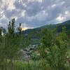chiara.bizzotto