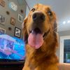 presleysbarnes