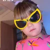 isadora.cc