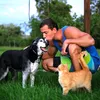 adestramento_petlove