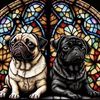 mexicanpugsx5