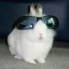 hannah.kappes