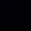 poussin0102