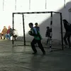 alexvcf23