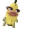 sxrxhiicg