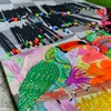 coloridocriativoday