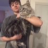 mainecoontexas