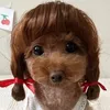 karooleana