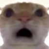 junju.ls