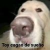 yam_aa