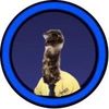 limu.emu.official