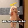 enriquebaxtermare
