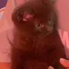 heeheeehuhu