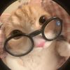 hey.imteff