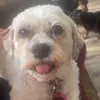 milliexlaird