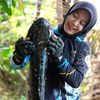 ocidayantii