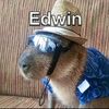 EdwinQuinn