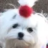 bitchwhat99999999999